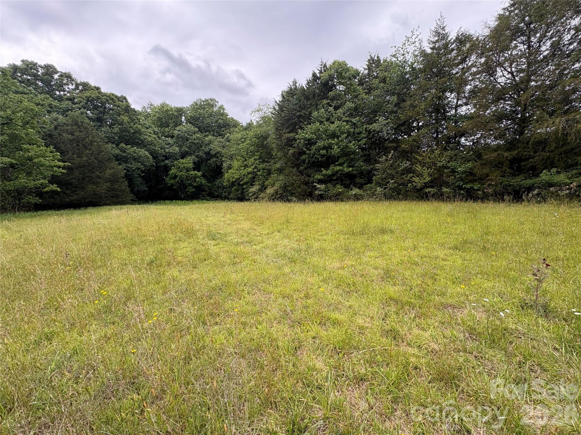 254 Beechwood Farm Road, Statesville, NC 28625 Main Photo