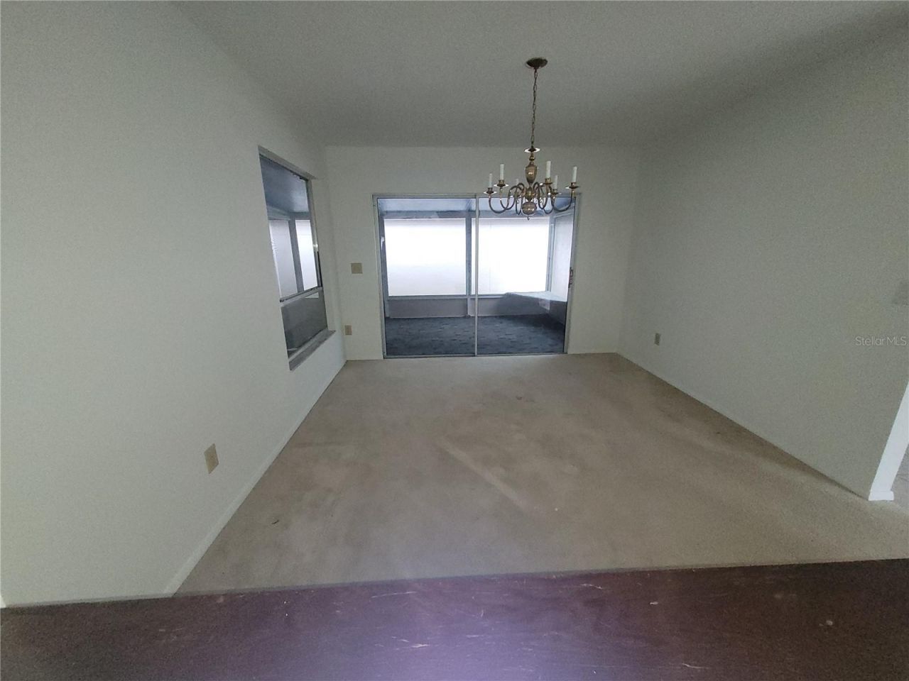 7125 Silvermill Drive, Tampa, FL 33635 Photo