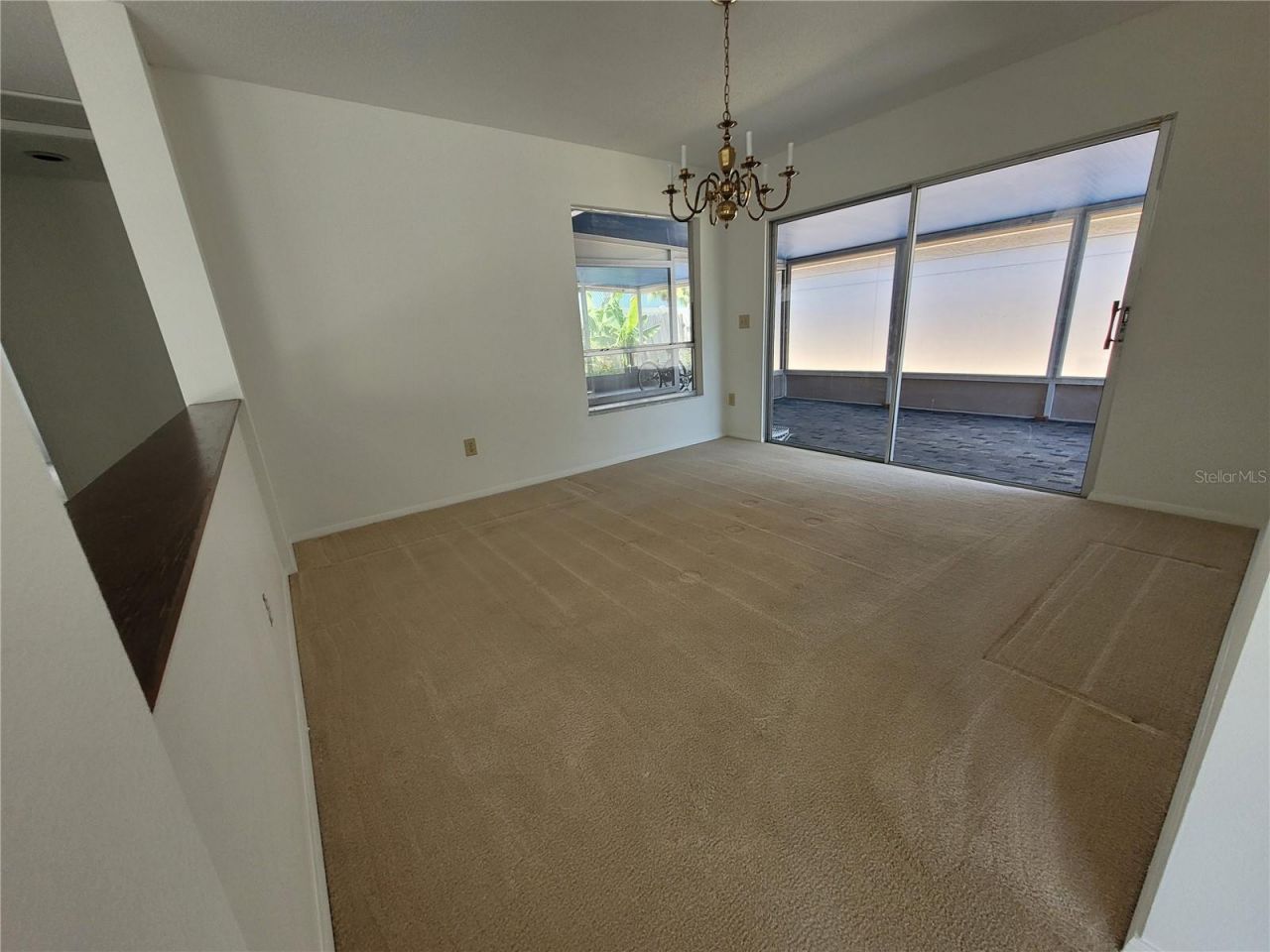 7125 Silvermill Drive, Tampa, FL 33635 Photo