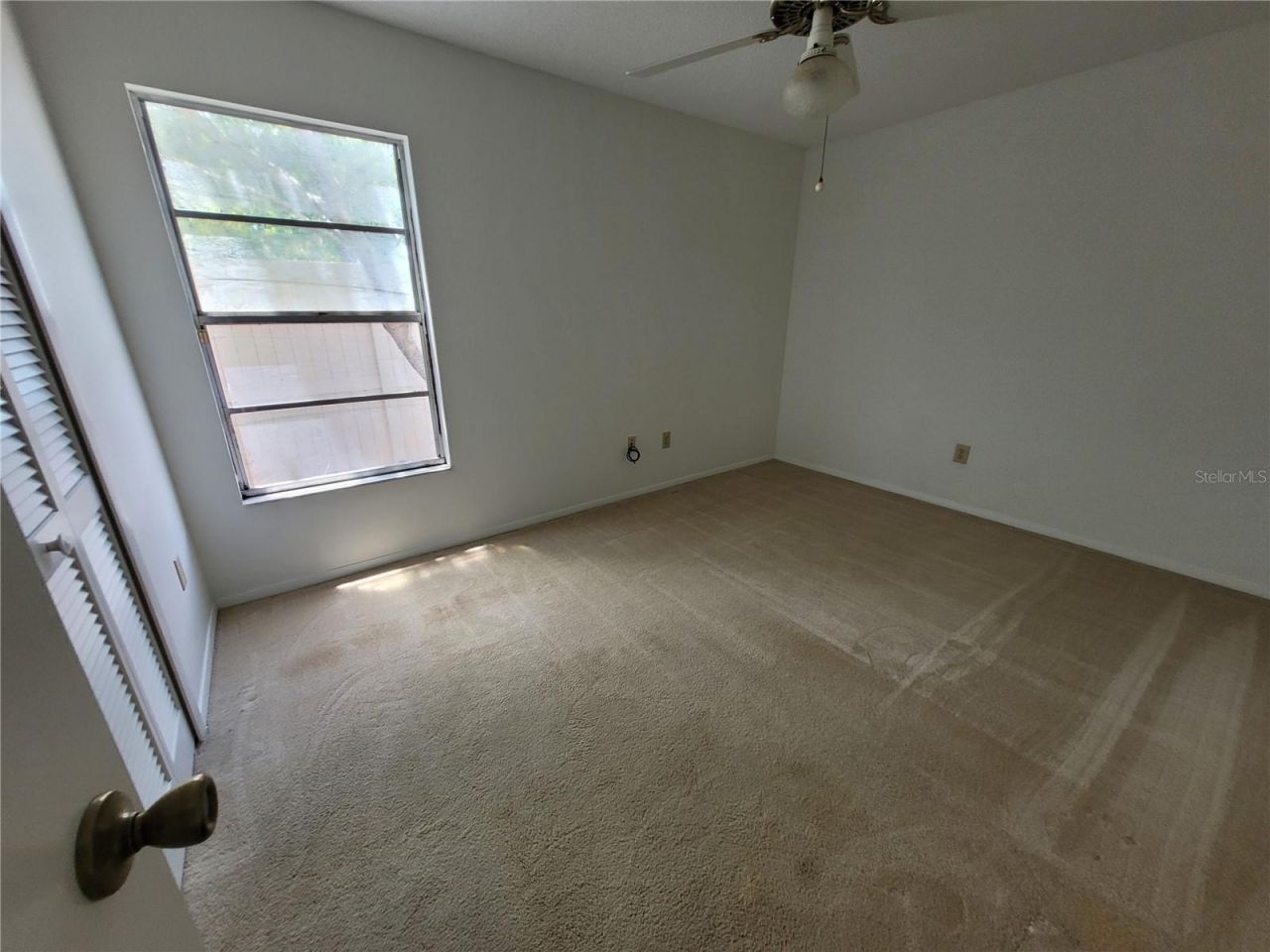 7125 Silvermill Drive, Tampa, FL 33635 Photo