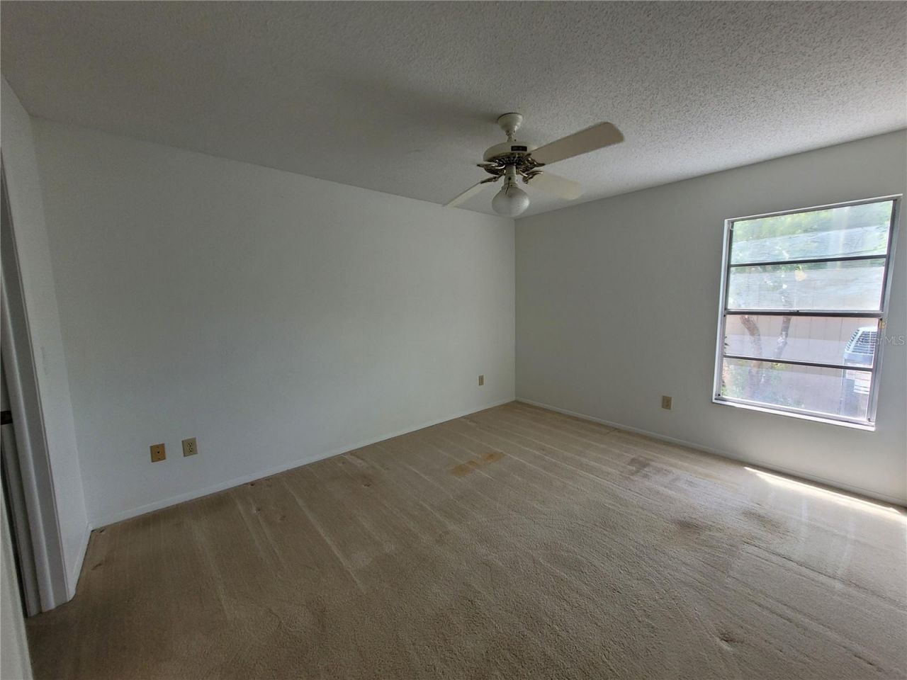7125 Silvermill Drive, Tampa, FL 33635 Photo