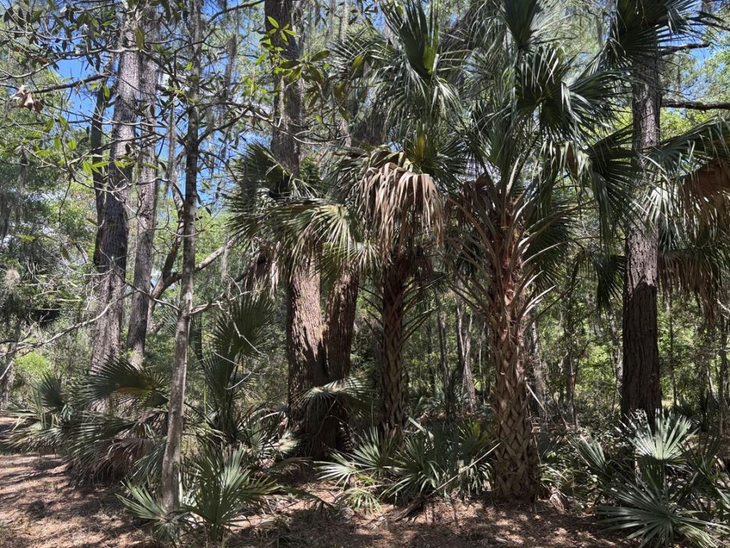 2044 Shell Island Photo 10