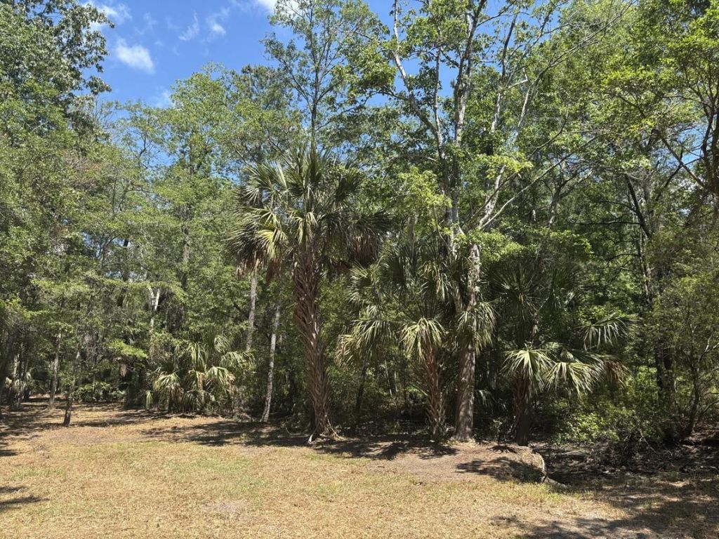 2044 Shell Island Photo 8