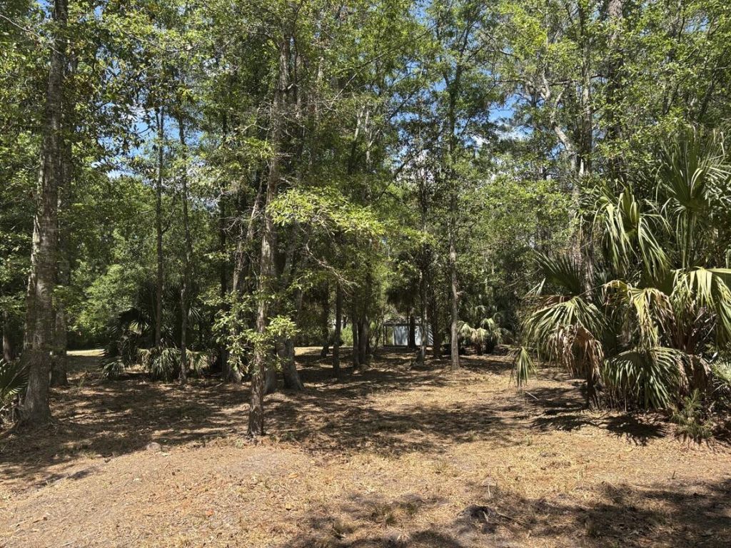 2044 Shell Island Photo 9