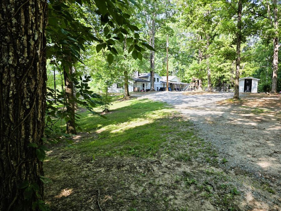 Property Image 83