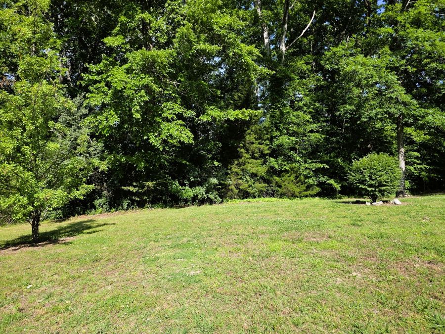 Property Image 86