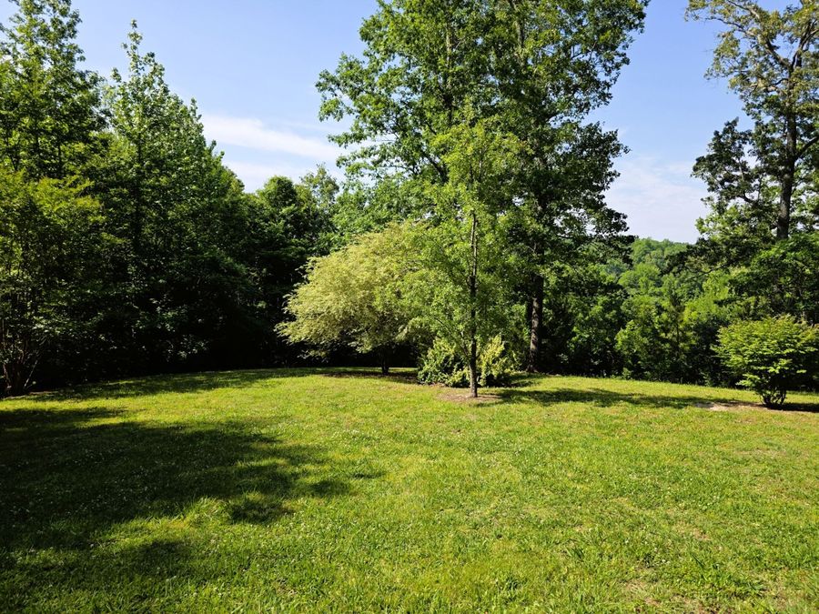 Property Image 88