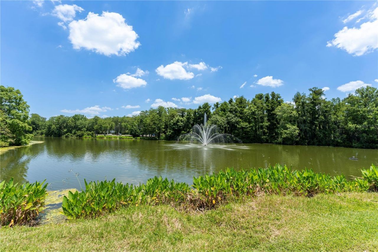 14013 Fairway Island Drive, Unit 426, Orlando, FL 32837 Photo