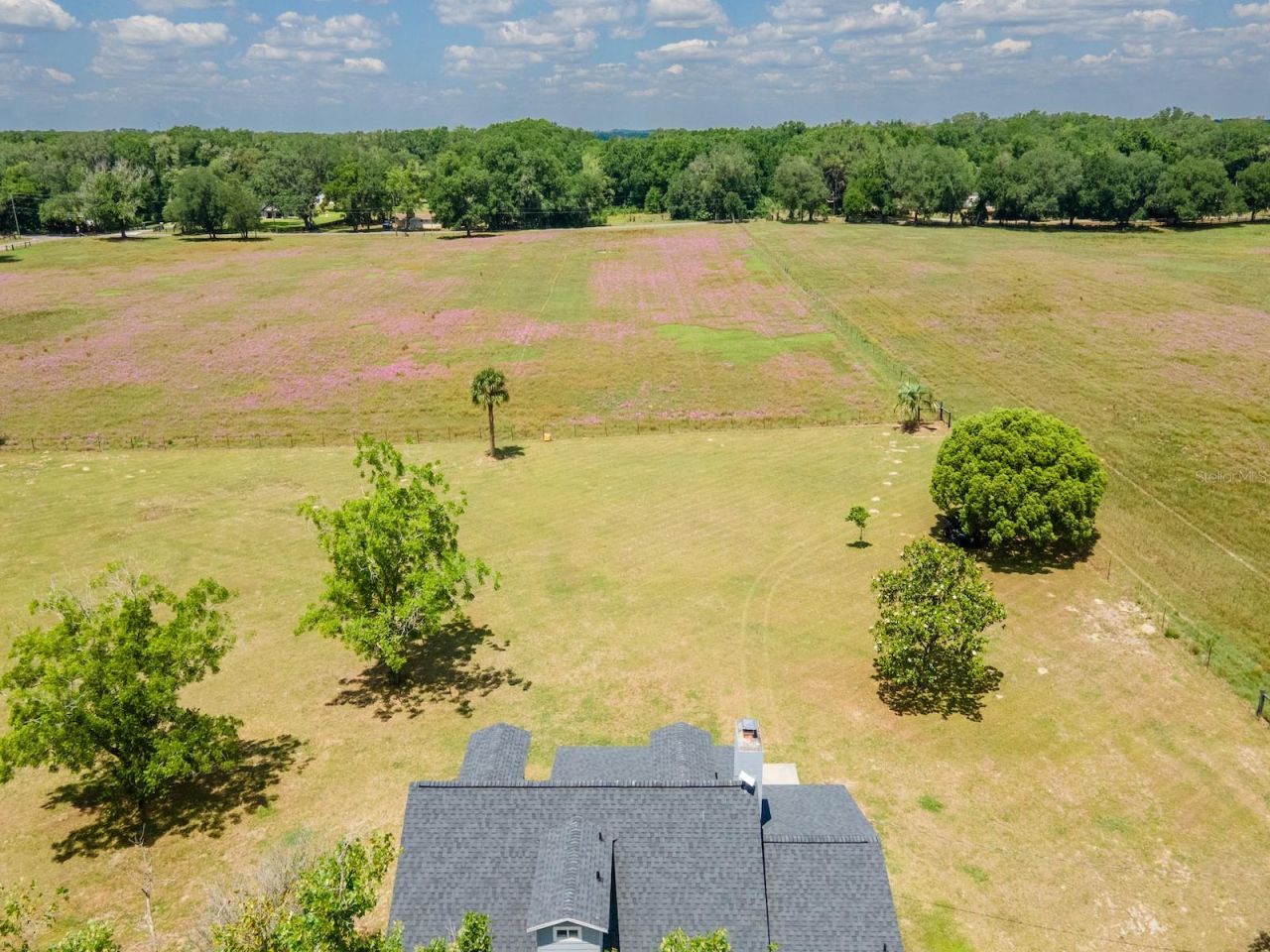 4381 NE 105th Place , Anthony, FL 32617 Photo