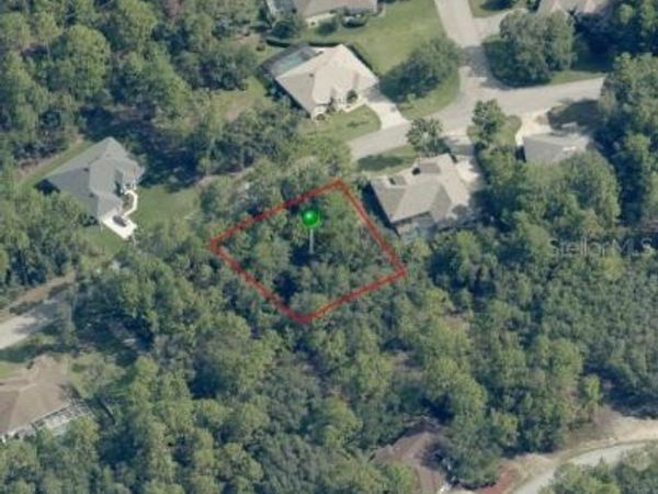 29 SAINTPAULIA STREET , HOMOSASSA, FL 34446