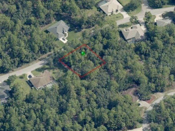 31 SAINTPAULIA STREET, HOMOSASSA, FL 34446