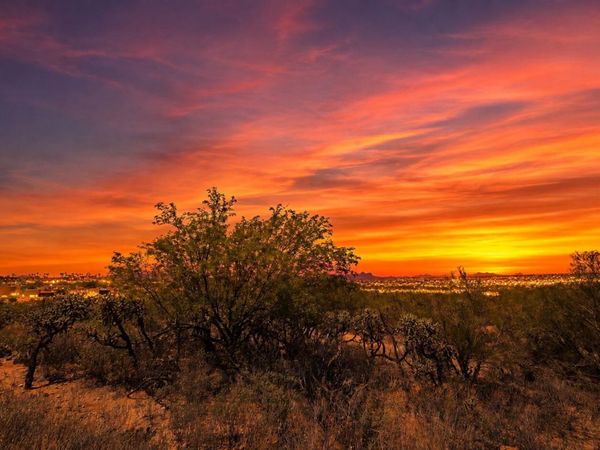 10255 N CARRISTO Drive, Tucson, AZ 85737