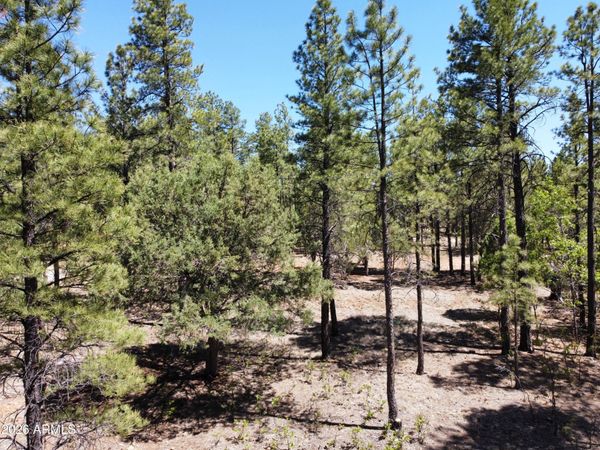 4450 BLACKFOOT Circle, Unit 415, Happy Jack, AZ 86024