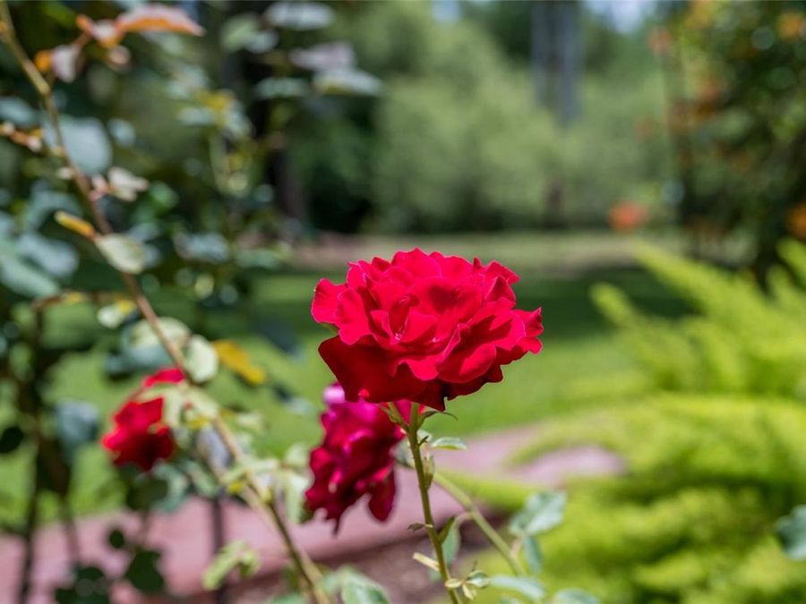 Property Image 76