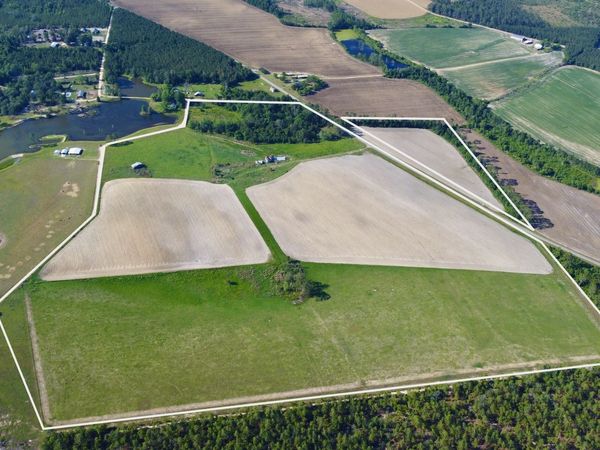 94.20 ACRES (TR Georgia Circle, Hazlehurst, GA 31539