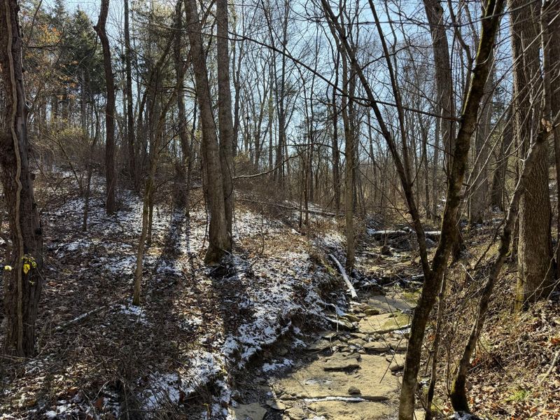 00 Pleasant View Cemetery Road, Corinth, KY 41010 Photo 11