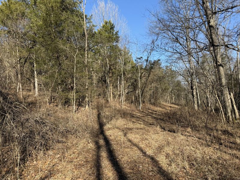 00 Pleasant View Cemetery Road, Corinth, KY 41010 Photo 12