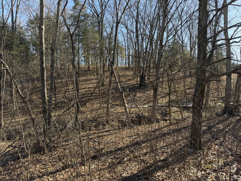 00 Pleasant View Cemetery Road, Corinth, KY 41010 Photo 13