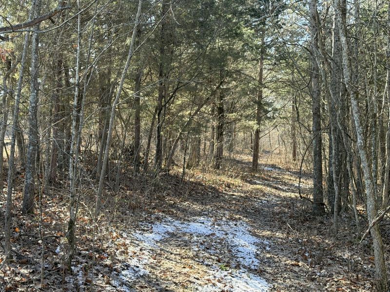 00 Pleasant View Cemetery Road, Corinth, KY 41010 Photo 15