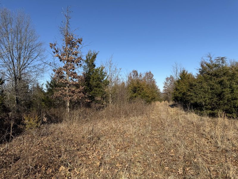 00 Pleasant View Cemetery Road, Corinth, KY 41010 Photo 16
