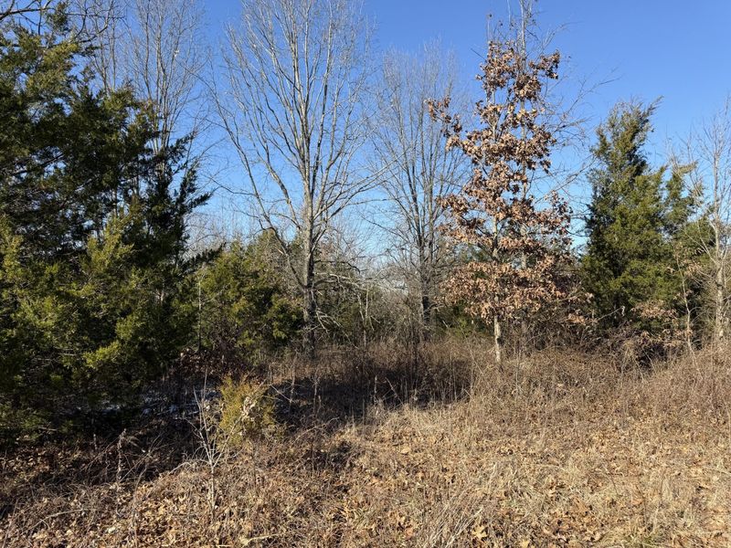 00 Pleasant View Cemetery Road, Corinth, KY 41010 Photo 17