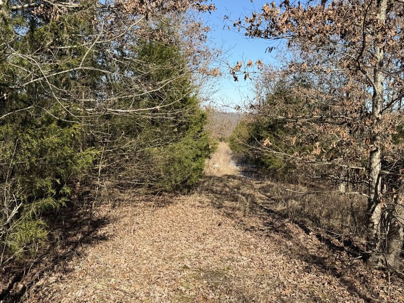 00 Pleasant View Cemetery Road, Corinth, KY 41010 Photo 18