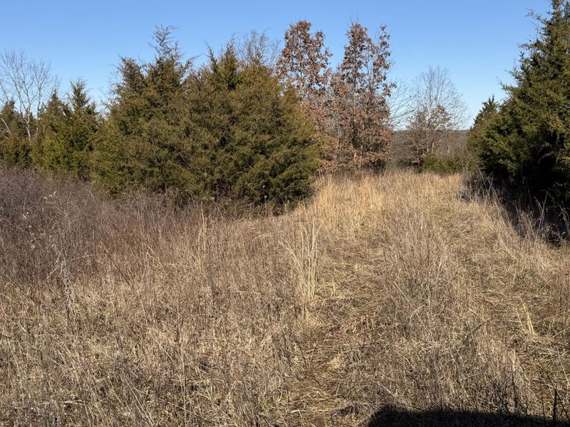 00 Pleasant View Cemetery Road, Corinth, KY 41010 Photo 19