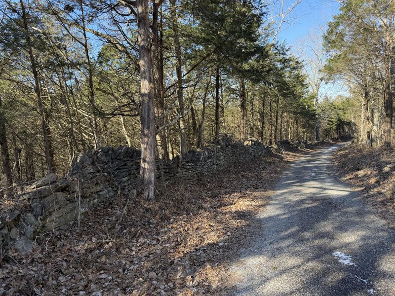 00 Pleasant View Cemetery Road, Corinth, KY 41010 Photo 23