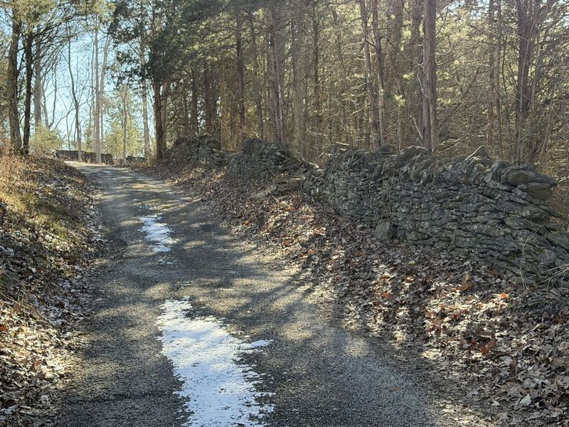 00 Pleasant View Cemetery Road, Corinth, KY 41010 Photo 25