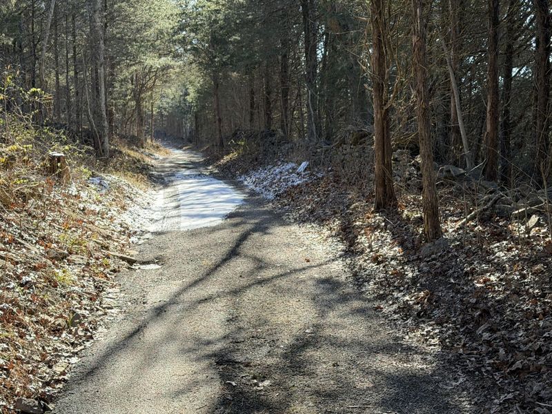00 Pleasant View Cemetery Road, Corinth, KY 41010 Photo 27