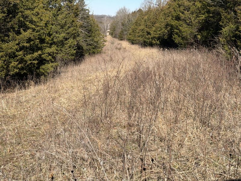 00 Pleasant View Cemetery Road, Corinth, KY 41010 Photo 3