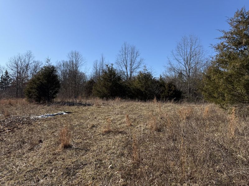 00 Pleasant View Cemetery Road, Corinth, KY 41010 Photo 5