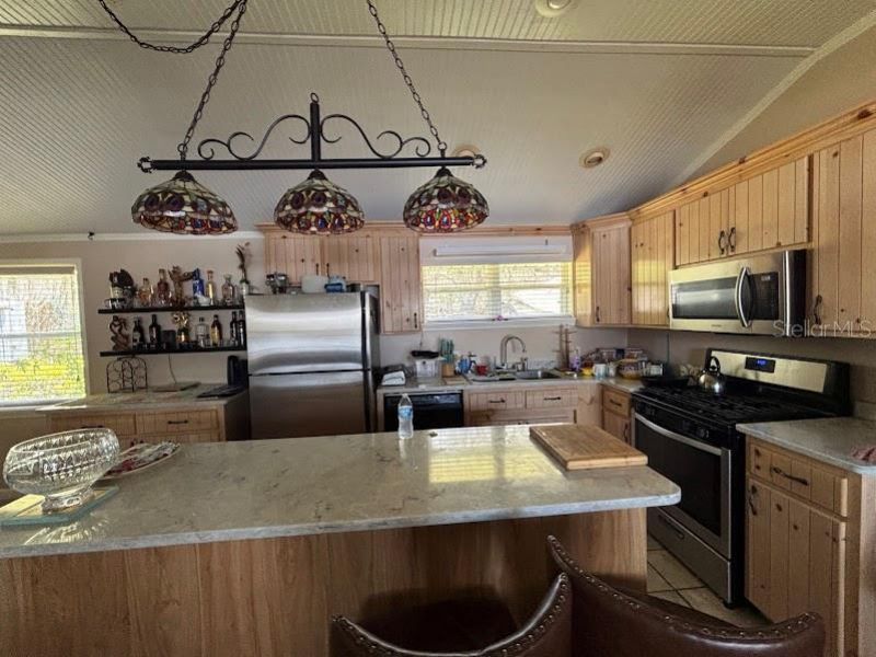 13960 252nd Terrace Road Ne, Unit Cottage 39, Fort Mc Coy, FL 32134 Photo