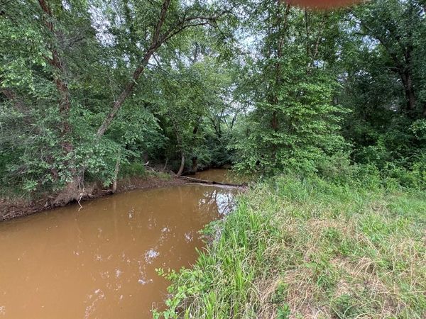 TBD HWY 259 , Diana, TX 75640