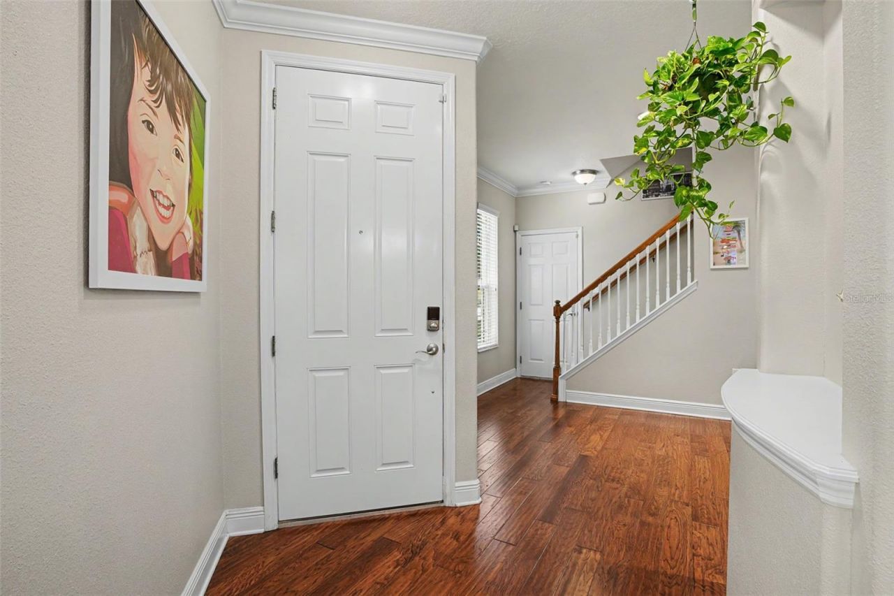441 Harbor Ridge Drive , Palm Harbor, FL 34683 Photo