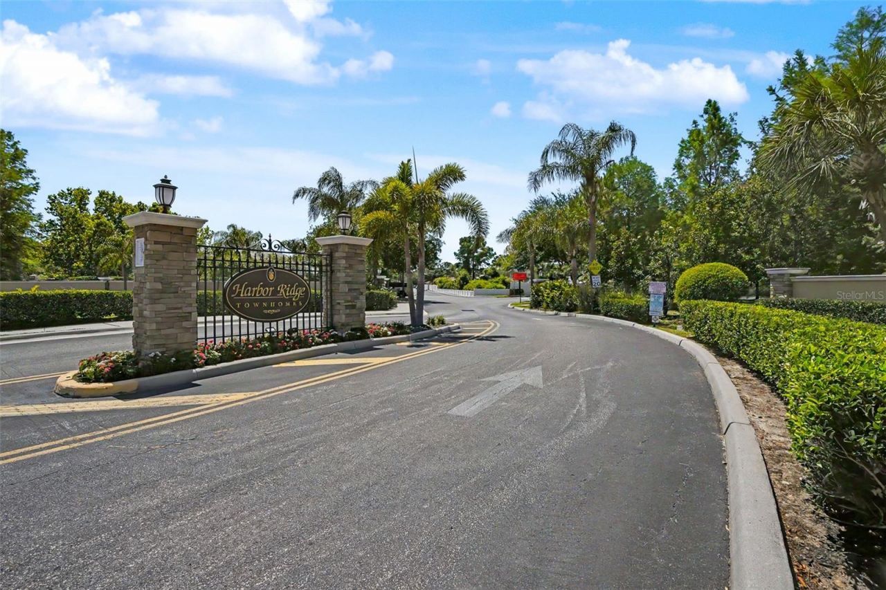 441 Harbor Ridge Drive , Palm Harbor, FL 34683 Photo