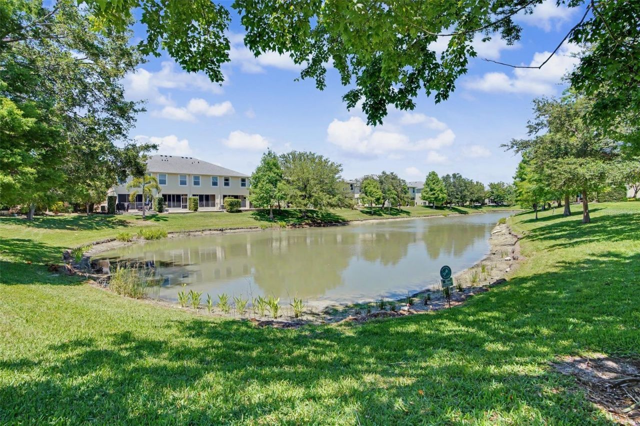 441 Harbor Ridge Drive , Palm Harbor, FL 34683 Photo