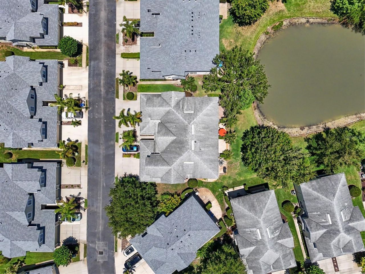 441 Harbor Ridge Drive , Palm Harbor, FL 34683 Photo