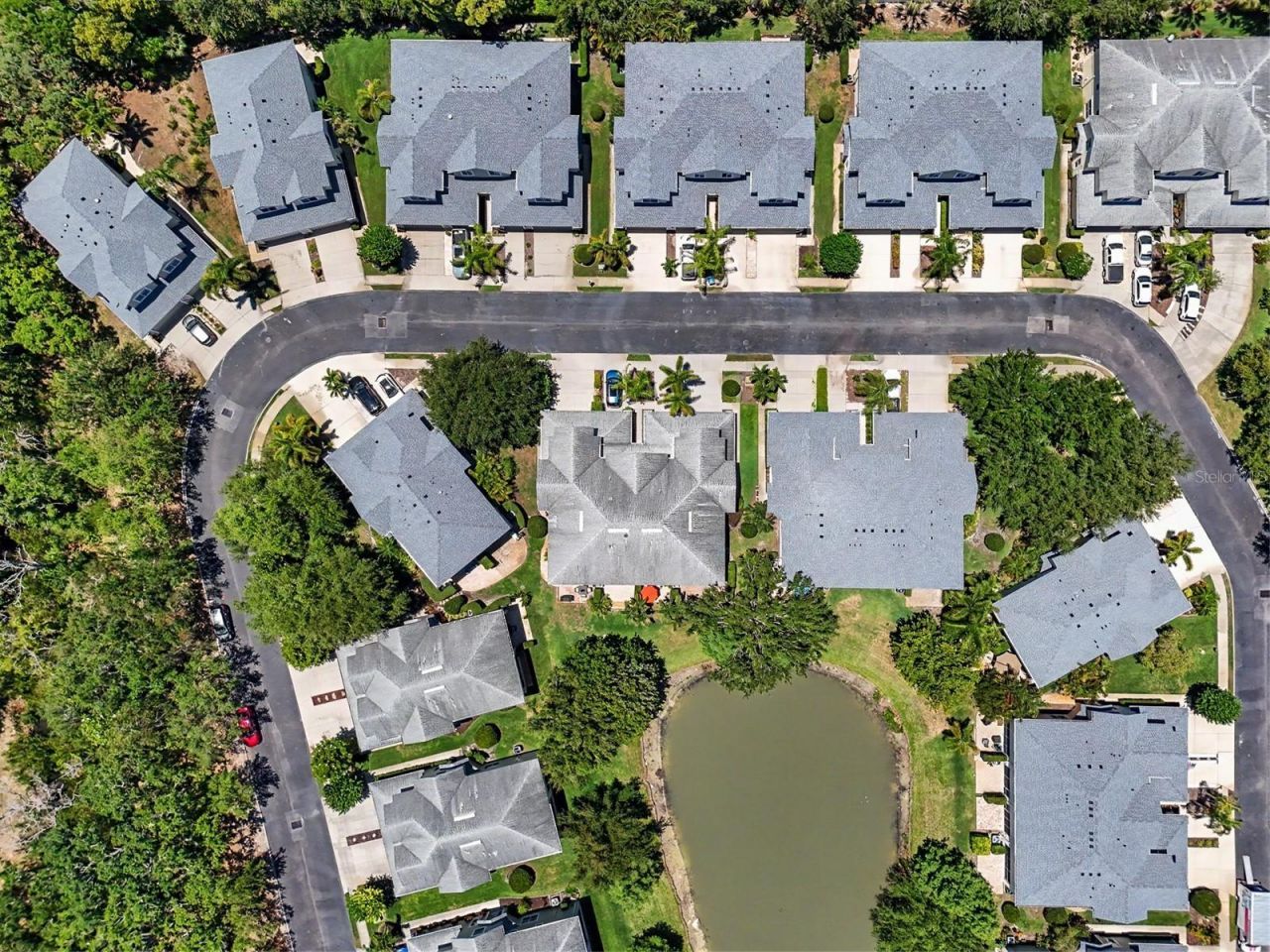 441 Harbor Ridge Drive , Palm Harbor, FL 34683 Photo