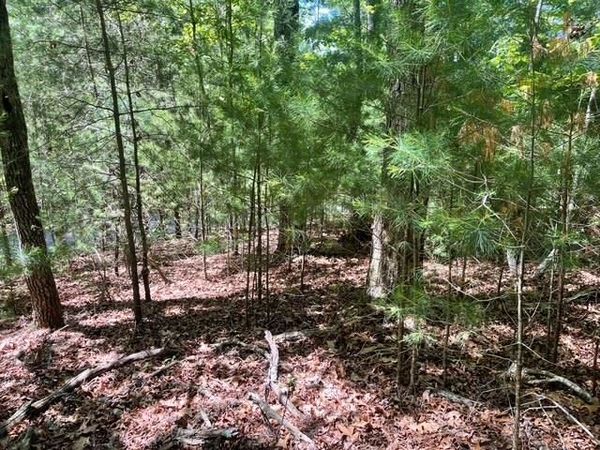 Lot 2 Mount Pleasant Ridge Road, Blairsville, GA 30512