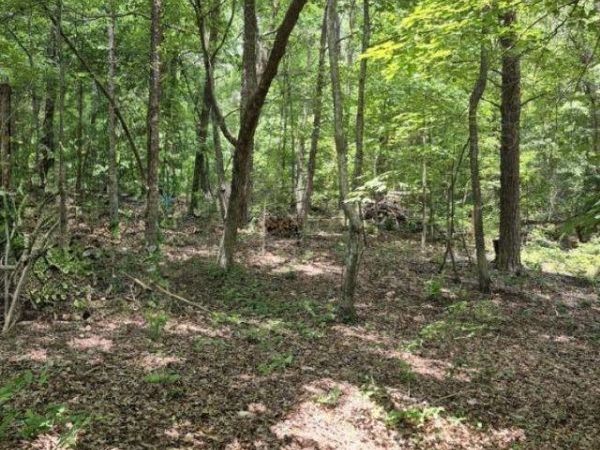 Lot 2 Cherokee County Road 275, Fort Payne, AL 35967
