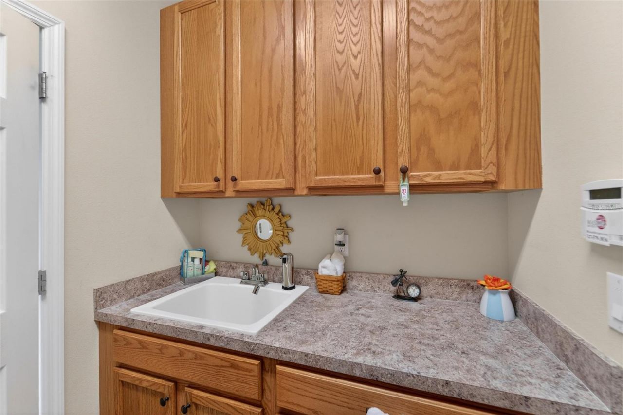 12607 Geneva Glade Drive, Riverview, FL 33578 Photo