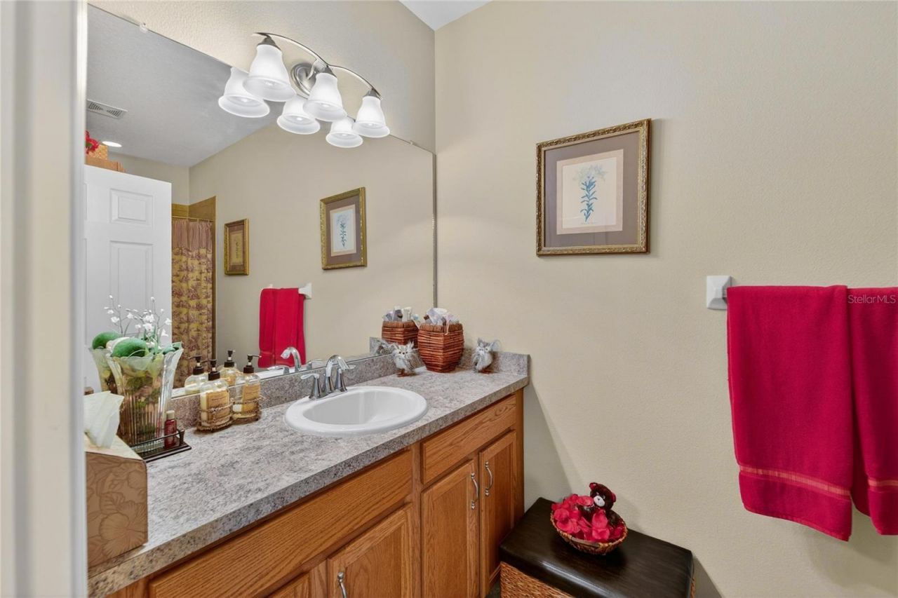 12607 Geneva Glade Drive, Riverview, FL 33578 Photo