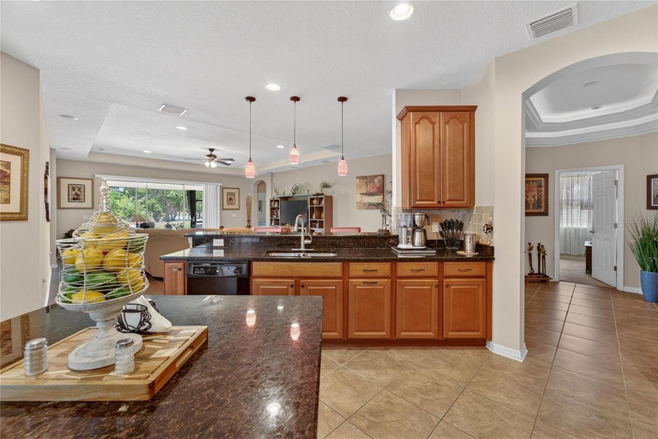 12607 Geneva Glade Drive, Riverview, FL 33578 Photo