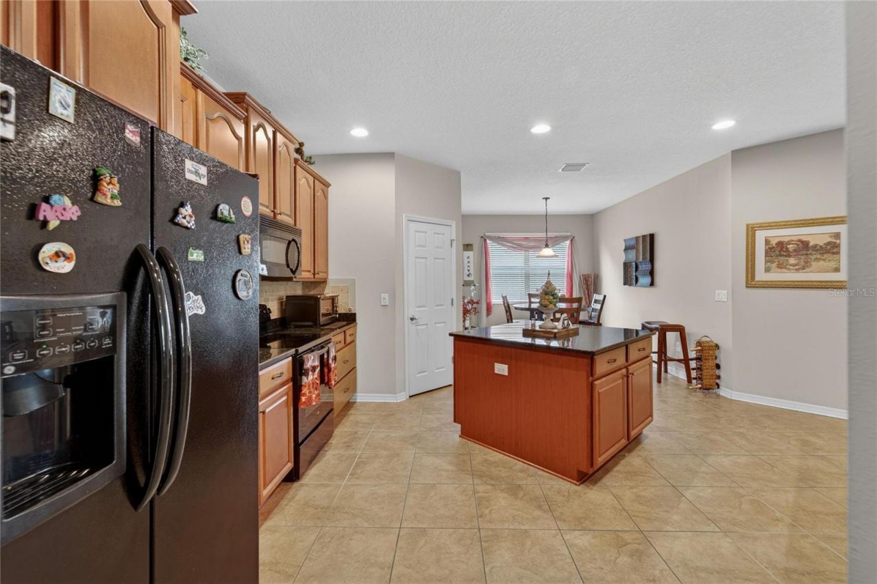 12607 Geneva Glade Drive, Riverview, FL 33578 Photo
