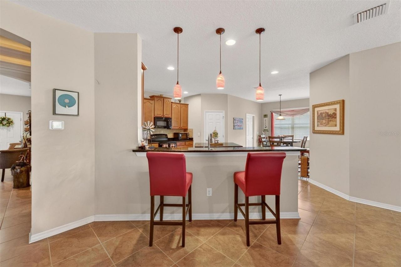 12607 Geneva Glade Drive, Riverview, FL 33578 Photo