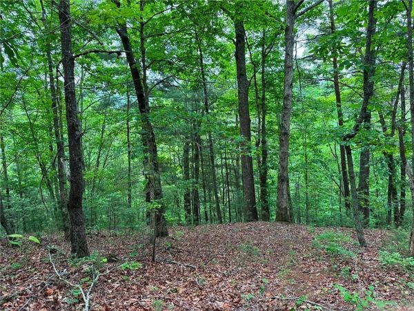 1674A Hunter Drive , Ranger, GA 30734