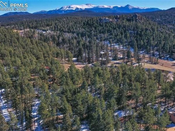 683 Kingston Drive, Florissant, CO 80816