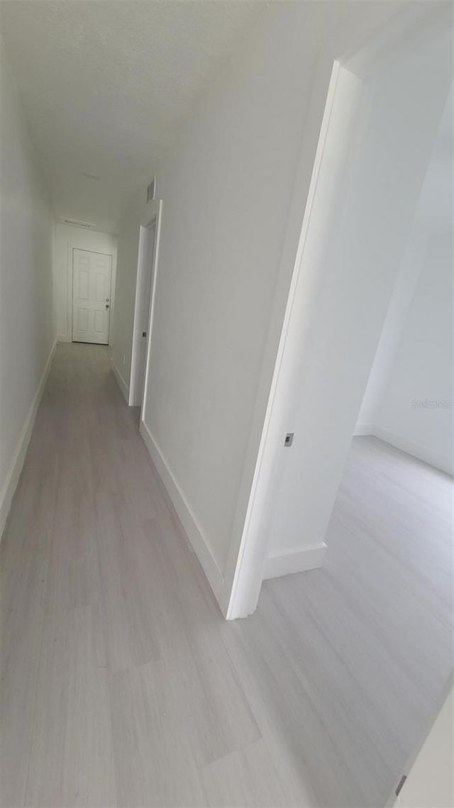 2519 W Walnut, Tampa, FL 33607 Photo
