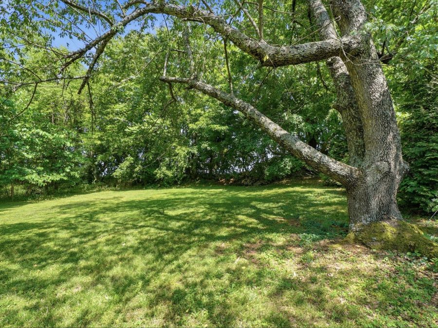 Property Image 49